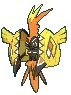 tapukoko