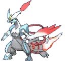 kyuremwhite