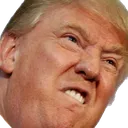 trump trump