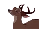 deeragree