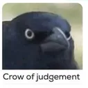 crow_of_judgement