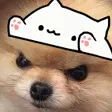 angeryBongo