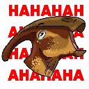 laugh laugh