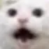 dat_face_tho