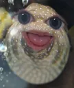 weird_fish
