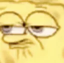 spongeSmug
