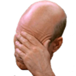 facepalm Discord emoji