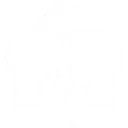 Orchid