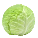 cabbage