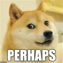 perhaps perhaps