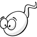 sperm