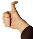 weranthumb weranthumb