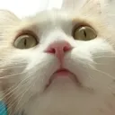 oH
