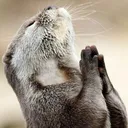 otterthank