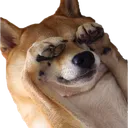 notlikeBOYE