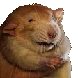 rubrub