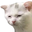 Depress Depress