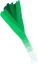 leek leek
