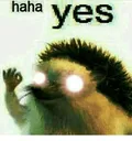 hahayesenhanced