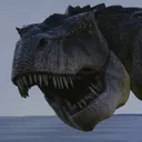 Derp