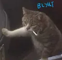 blyatcat blyatcat