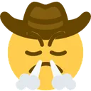 cowboytriumph