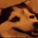 happinessnoise