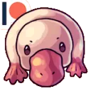 platypus