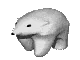 polarbear