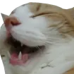 LelCat