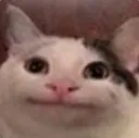 __
