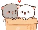 nyasHappy nyasHappy