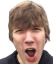 fyfOrgasm Discord emoji