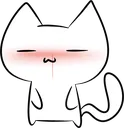 catblush catblush