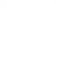 yam