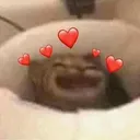 catlove2