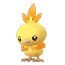 torchic