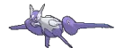 latiosmega latiosmega