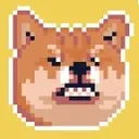 angrydoge