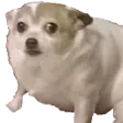 SmolConcern