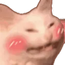 catblushifies catblushifies
