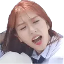 JiuGasm