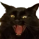 aaa aaa