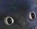 wut