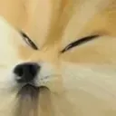 collaspingdoge Discord Emoji