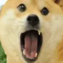 shockeddoge Discord Emoji