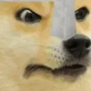 frusterateddoge