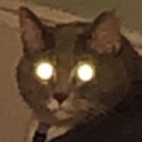 run