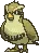 Pidgey_s