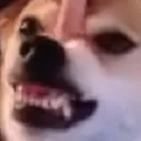 nolaAngry